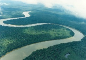 Amazonas2